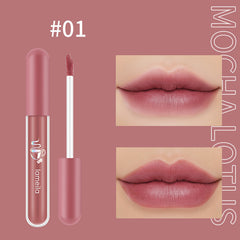 Matte Moisturizing Nourishing Lipstick and Glaze