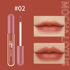 Matte Moisturizing Nourishing Lipstick and Glaze